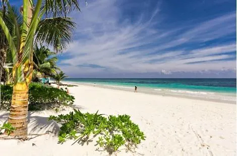 Aldea Beachfront Tulum